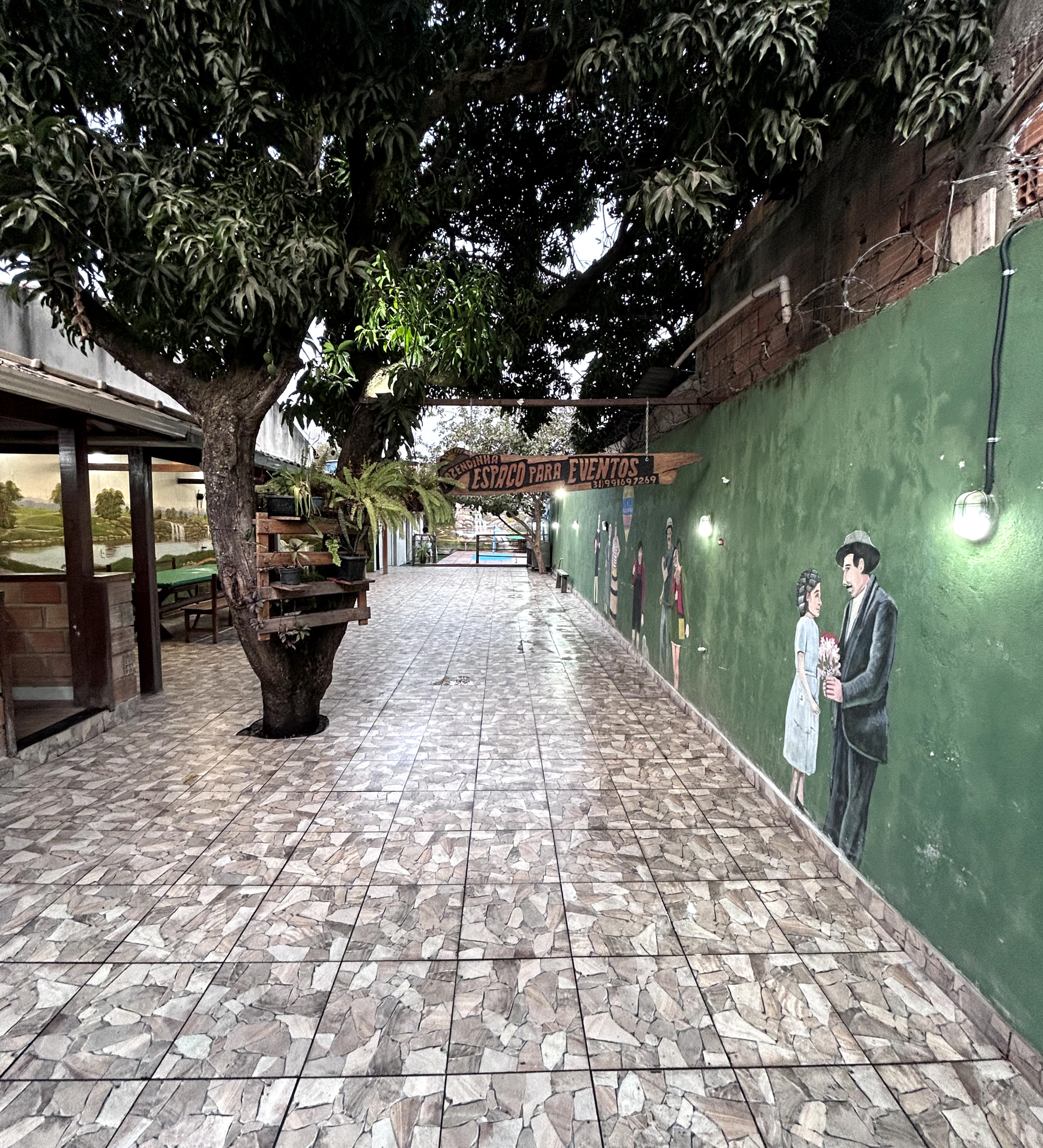 Área Frontal pé de manga 