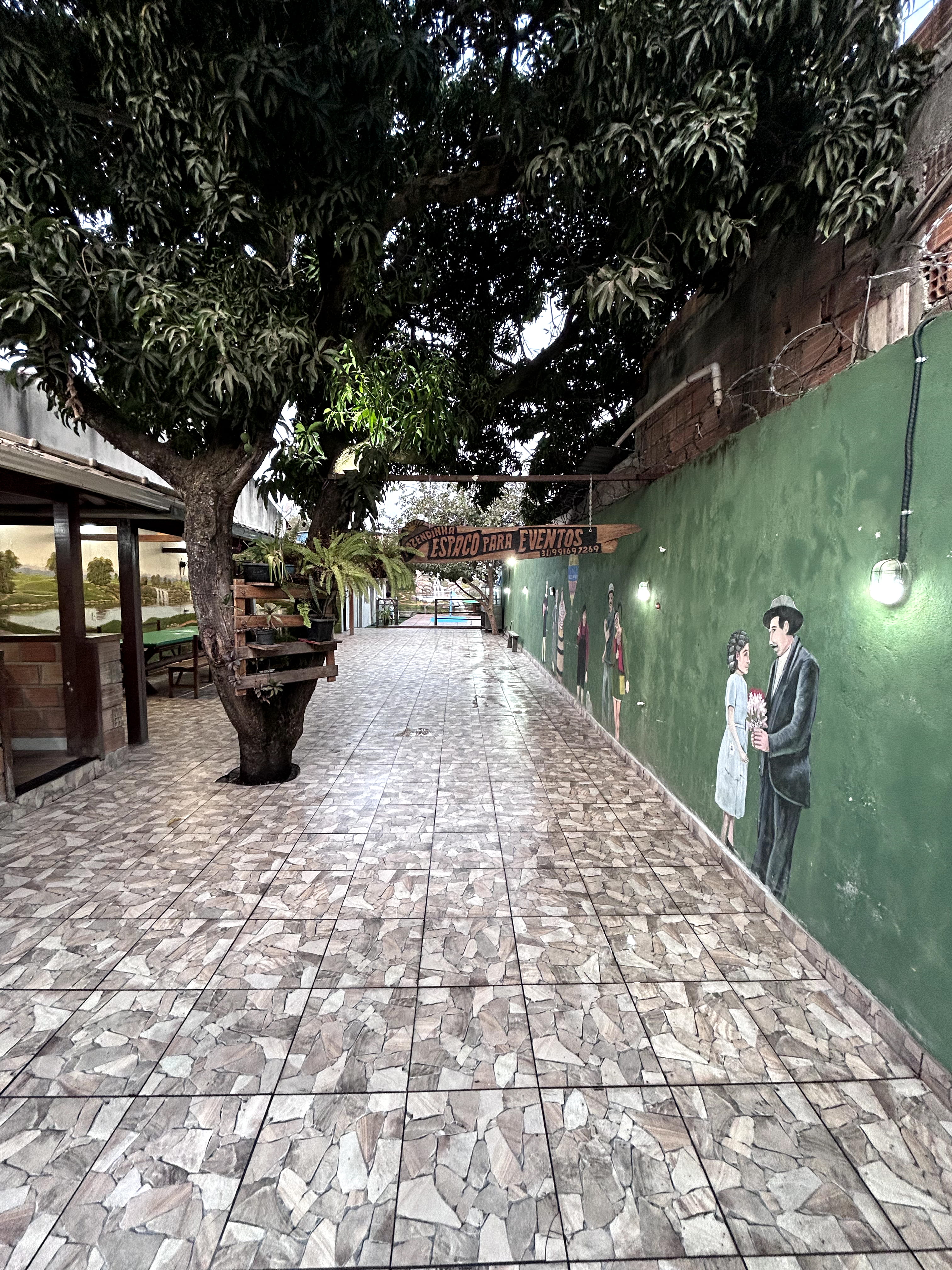 Área frontal pé de manga