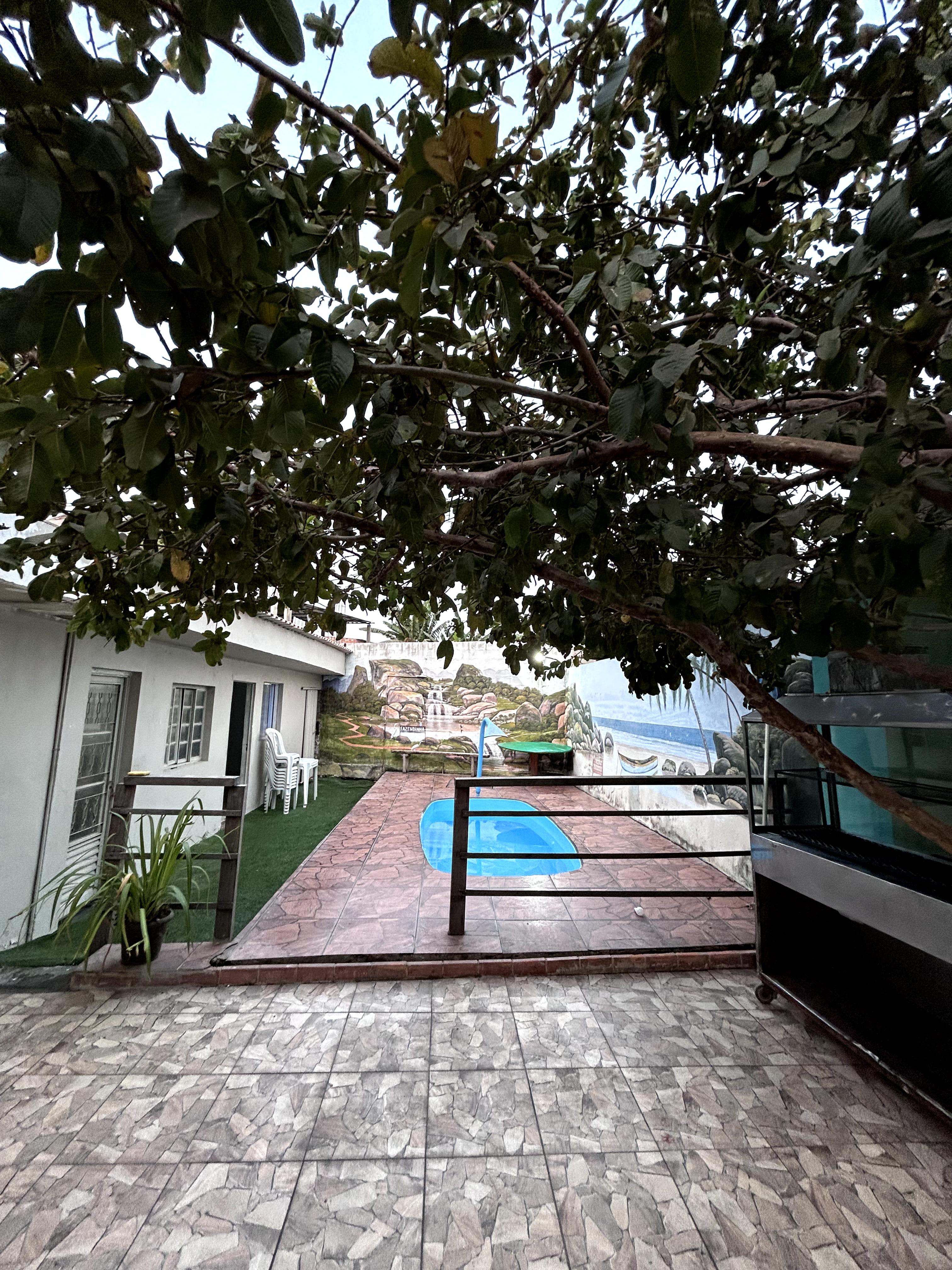 Área frontal pé de goiaba